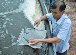 Nông dân 4.0 có gì khác biệt?