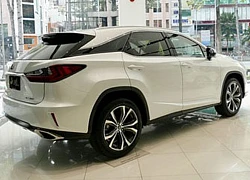 Lexus RX 300 2019 chính hãng đầu tiên về Việt Nam