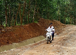 Quảng Ngãi: Nỗi lo mất an toàn giao thông học đường