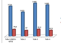 Tuần cuối năm, 3.680 ô tô ngoại đổ về Việt Nam