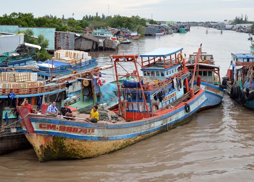 Cà Mau kêu gọi tàu thuyền vào bờ để ứng phó áp thấp nhiệt đới