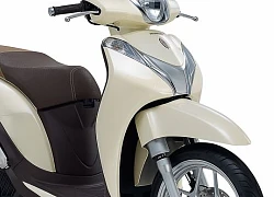 Cập nhật bảng giá Honda mới nhất tháng 1/2019