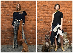 MONSE Pre-Fall 2019: Những chú chó làm nên điểm nhấn