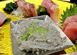 Trân châu wasabi, món ăn cực lạ nhưng nhất định không được cho vào trà sữa