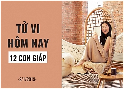 Tử vi ngày (2/1/2019) của 12 con giáp: Tuổi Tý giỏi ngoại giao