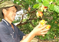 2 hội nghị lịch sử và chuyện biến điều thành cây &#8220;đẻ&#8221; ra tỷ đô