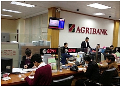 Agribank bán đấu giá hơn 5 triệu cổ phần tại Agritour, dự kiến thu 81 tỷ đồng