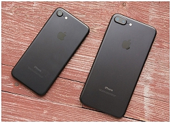 Apple rút các mẫu iPhone 7 và iPhone 8 khỏi Đức do cuộc chiến pháp lý với Qualcomm