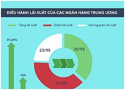 Các đồng tiền năm 2018 biến động như thế nào?