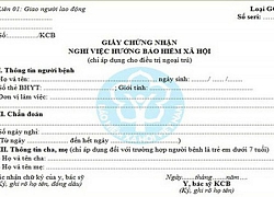 Hướng dẫn đăng ký cấp giấy chứng nhận nghỉ việc hưởng BHXH