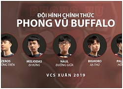 LMHT: GAM và PVB chính thức công bố đội hình tham dự VCS mùa Xuân 2019