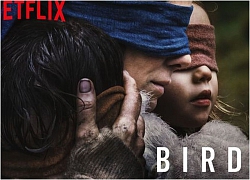 Nhiễm phim "Bird Box" tới mức nguy hiểm báo động, Netflix phải khuyến cáo người xem dừng lại