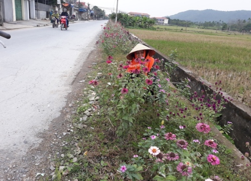 NTM Hải Phòng: Thêm một bông hoa, bớt một túi rác