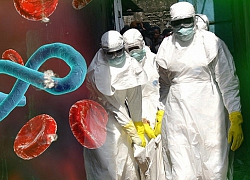 Thụy Điển bác bỏ trường hợp nhiễm virus Ebola đầu tiên