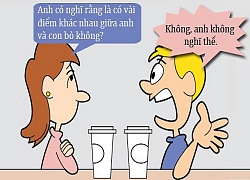 Tối cười: Có gì khác giữa em, anh và con bò