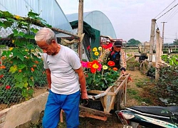 ẢNH: Lạc vào làng hoa Tết xứ Thanh có những bông đồng tiền to tướng