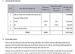 Bầu Đức đã sử dụng số tiền hơn 2.217 tỷ đồng của Thaco như thế nào?