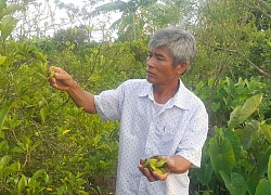 Bị gọi là "hâm dở", thế mà thành tỷ phú nhờ kiểu làm ăn khác người