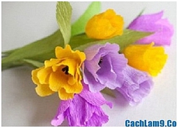 Cách làm hoa tulip bằng giấy nhún trang trí phòng đẹp