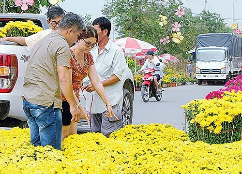 Chợ hoa Xuân Bình Điền lan tỏa sắc xuân