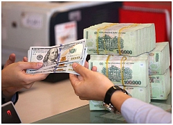 Năm 2019, áp lực tăng tỷ giá USD/VND không lớn