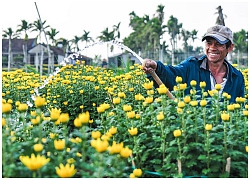 Tết thơm mùi ấm áp