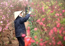 Thời tiết hôm nay (31/1): Hà Nội sáng sớm mưa phùn, nóng 26 độ C