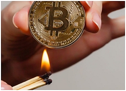 Bitcoin và thị trường tiền kỹ thuật số đồng loạt tăng mạnh