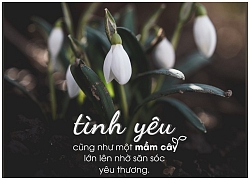 Đừng để gặp đúng người, chỉ vì yêu sai cách mà đành mất nhau!