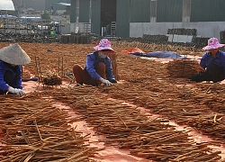 Huyện tiên phong của tỉnh Yên Bái "chạm tay" vào đích nông thôn mới