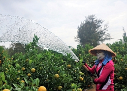 Lực lượng 363 trấn áp, ngăn ngừa tội phạm