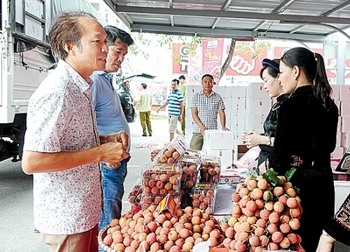 Thị trường trong nước năm 2018: Công tác điều hành hiệu quả, linh hoạt