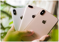 Di Động Việt bán iPhone 7 Plus, iPhone 8 Plus, iPhone X và Xs Max bảo hành rơi vỡ, 1 đổi 1