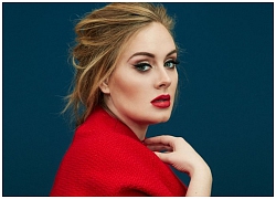 'Họa mi nước Anh' Adele có thể sẽ ngưng đi tour vĩnh viễn?