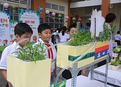 Học sinh tiểu học trổ tài &quot;Thiết kế và chăm sóc vườn rau sạch&quot;