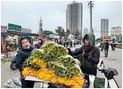 Làng hoa vào vụ Tết