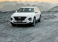 Nhiều mẫu xe bán chạy, Hyundai Thành Công tăng trưởng tốt