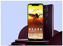 Nokia 8.1 Plus lộ thiết kế hoàn chỉnh với màn hình đục lỗ, camera kép phía sau