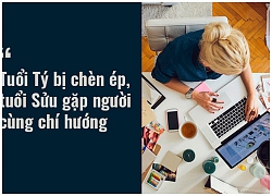 Tử vi ngày mai (10/1/2019) về công việc của 12 con giáp: Tuổi Dậu tinh thần sa sút