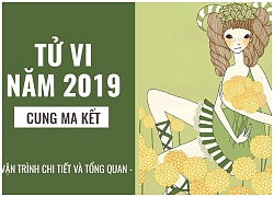 Dự báo tử vi năm 2019 chuẩn xác nhất của 12 cung hoàng đạo: Thiên Bình nở rộ tài vận, Bạch Dương may mắn