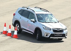 Ra mắt xe hybrid Subaru Forester e-Boxer tại Singapore Motorshow 2019