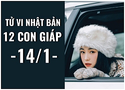 Tử vi Nhật Bản (14/1) của 12 con giáp: Tuổi Tỵ tránh giao dịch tiền bạc