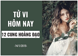 Tử vi thứ hai (14/1/2019) của 12 cung hoàng đạo: Xử Nữ nhạy cảm và đầy ngờ vực