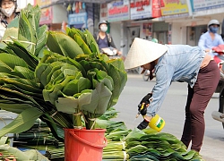 Bài dự thi Nhớ thương mùi Tết: Thơm thơm hương lá dong rừng