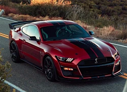 Chiêm ngưỡng Ford Mustang Shelby GT500 2020 vừa ra mắt