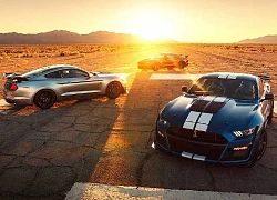 "Hổ mang chúa" Ford Mustang Shelby GT500 2020 rời khỏi hang ổ