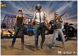 Không đùa đâu, binh sĩ Trung Đông chơi PUBG Mobile sẽ bị... "trảm"