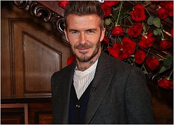 Nối tiếp Victoria, thương hiệu thời trang của David Beckham cũng thua lỗ cả trăm tỷ đồng