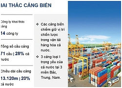 Vinalines báo lãi 365 tỷ đồng sau nhiều năm thua lỗ