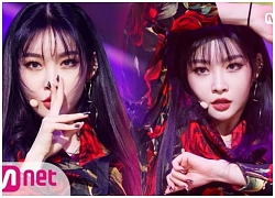 Chungha chắc chắn sẽ ngất xỉu nếu xem ảnh thumbnail mà đài KBS dành cho mình